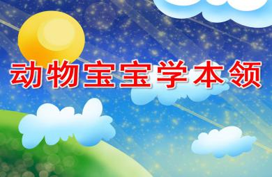 大班動(dòng)物寶寶學(xué)本領(lǐng)PPT課件教案