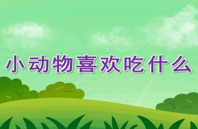 中班小動物喜歡吃什么PPT課件教案圖片