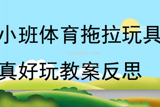 小班體育拖拉玩具真好玩教案反思