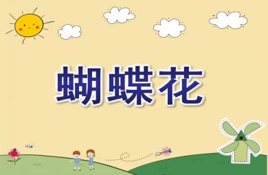 中班音樂蝴蝶花PPT課件教案