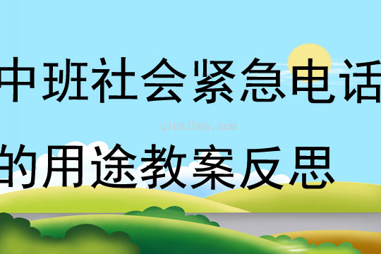 中班社會緊急電話的用途教案反思