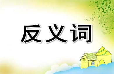 大班語言公開課說反義詞PPT課件教案
