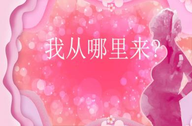 大班科學活動我從哪里來PPT課件教案