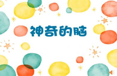 大班健康神奇的腦PPT課件教案