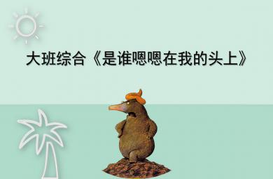 大班綜合是誰(shuí)嗯嗯在我的頭上PPT課件教案