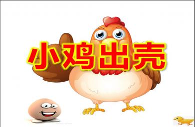 小班音樂公開課小雞出殼PPT課件教案