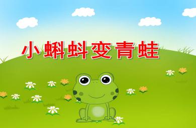 小班科學小蝌蚪變青蛙PPT課件