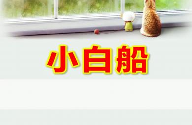 大班音樂小白船PPT課件教案