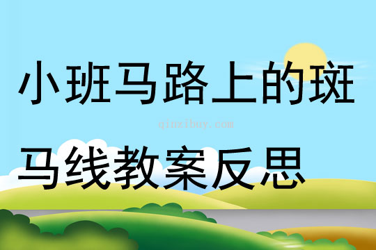 小班社會(huì)馬路上的斑馬線教案反思