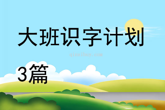 大班識字計劃3篇