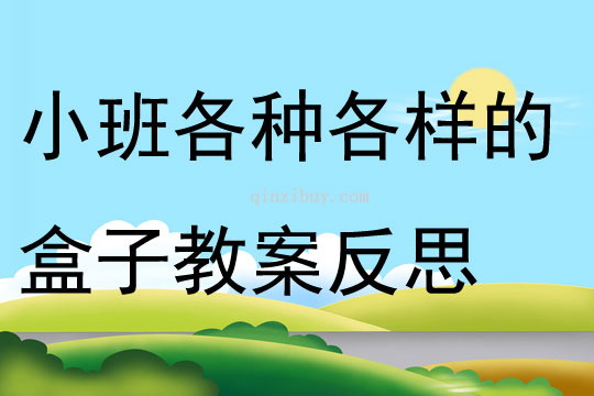 小班科學各種各樣的盒子教案反思