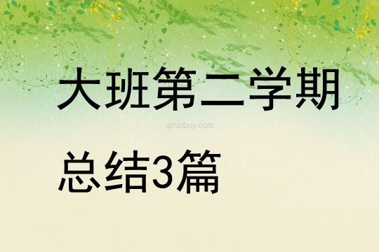 大班第二學(xué)期總結(jié)3篇