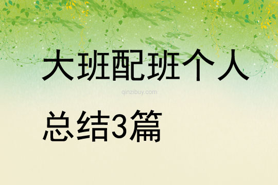大班配班個人總結3篇