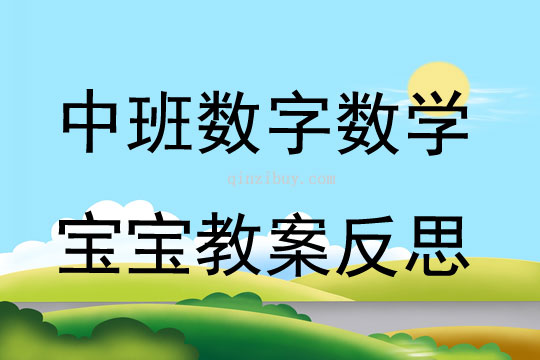 中班數(shù)字?jǐn)?shù)學(xué)寶寶教案反思