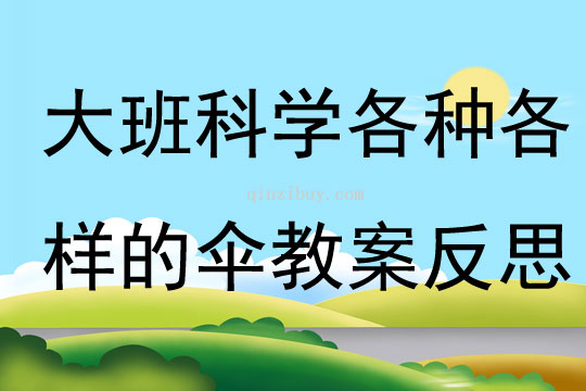 大班科學(xué)各種各樣的傘教案反思