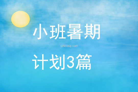 小班暑期計劃3篇