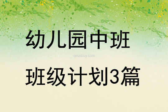 幼兒園中班班級計劃3篇