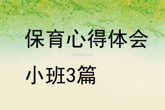 保育心得體會小班3篇