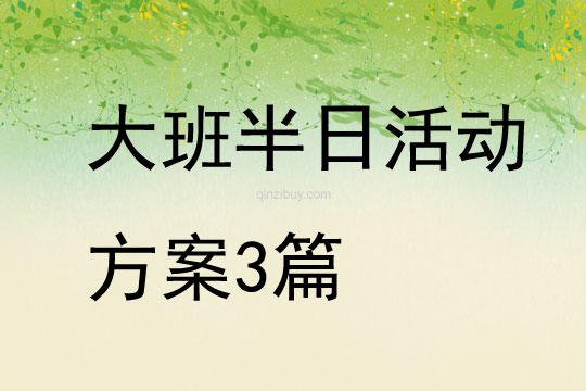 大班半日活動方案3篇