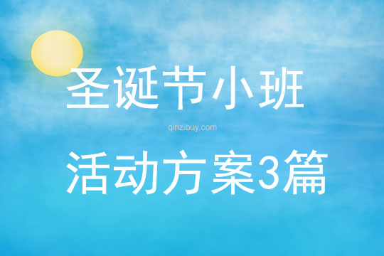 圣誕節小班活動方案3篇