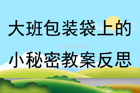 大班健康包裝袋上的小秘密教案反思