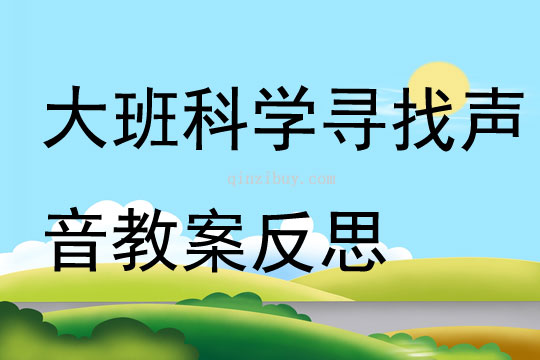 大班科學尋找聲音教案反思
