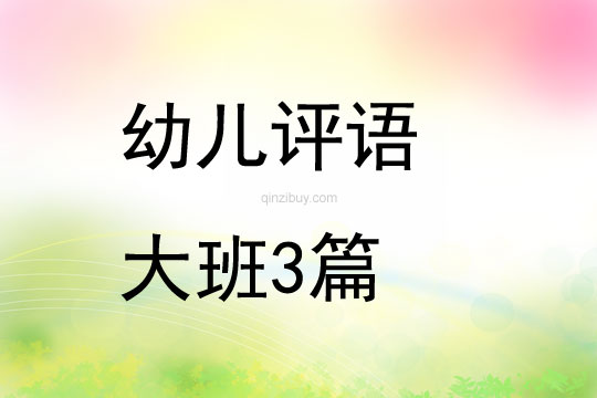 幼兒評語大班3篇