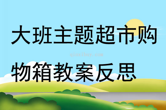 大班主題超市購物箱教案反思