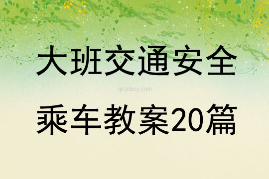 大班交通安全乘車(chē)教案20篇