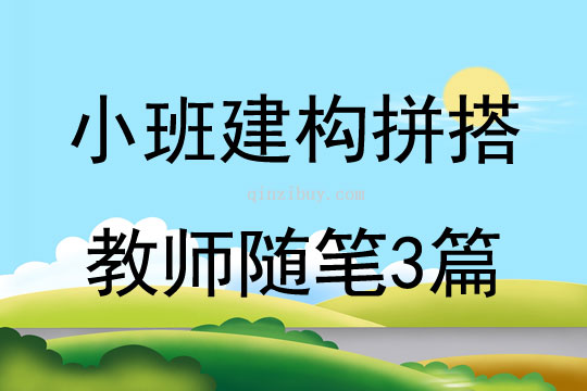 小班建構(gòu)拼搭教師隨筆3篇
