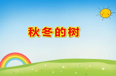 中班科學(xué)秋冬的樹PPT課件教案