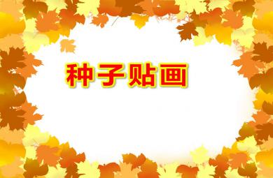 大班教學課件種子貼畫PPT課件教案