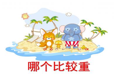 哪個(gè)比較重PPT課件教案圖片