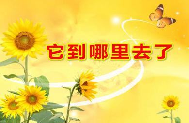 大班科學(xué)它到哪里去了PPT課件教案