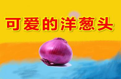 大班科學可愛的洋蔥頭PPT課件教案