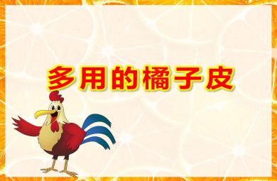 多用的橘子皮PPT課件教案