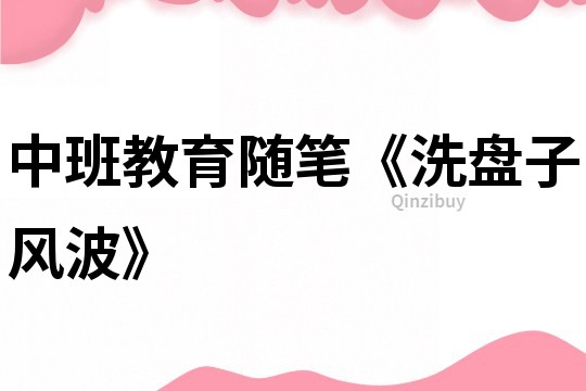 中班教育隨筆《洗盤子風波》