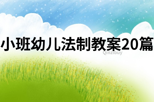 小班幼兒法制教案20篇