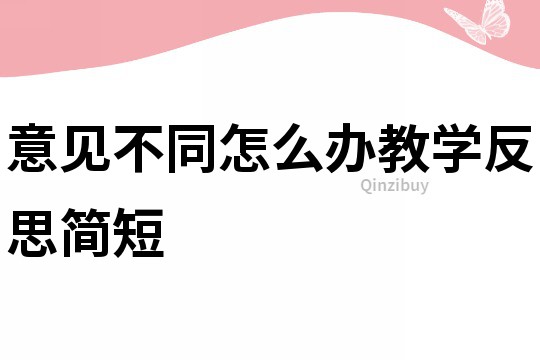 意見不同怎么辦教學(xué)反思簡短