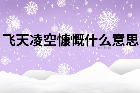 飛天凌空慷慨什么意思