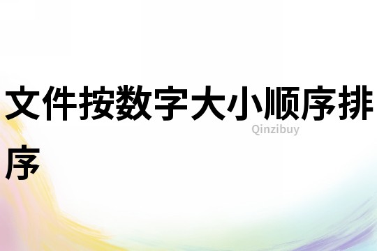 文件按數字大小順序排序