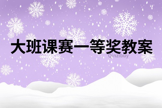 大班課賽一等獎教案