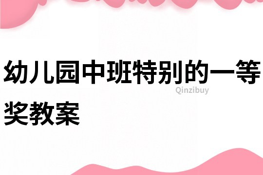 幼兒園中班特別的一等獎教案