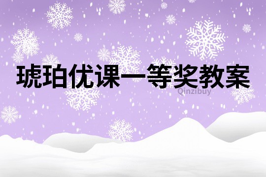琥珀優課一等獎教案