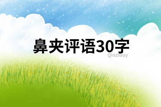 鼻夾評語30字