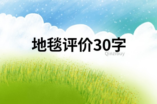 地毯評價30字