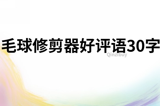 毛球修剪器好評語30字