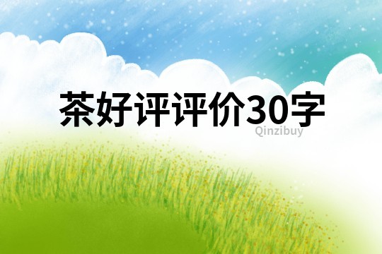 茶好評評價30字