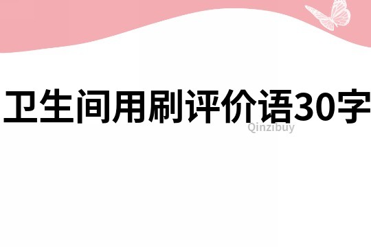 衛(wèi)生間用刷評價語30字