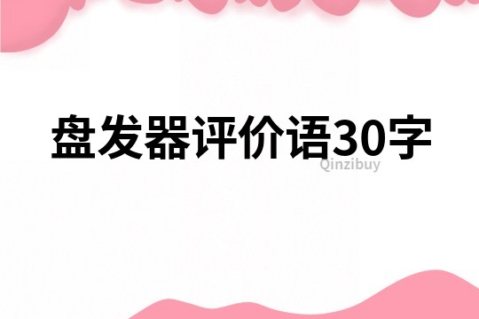 盤發器評價語30字